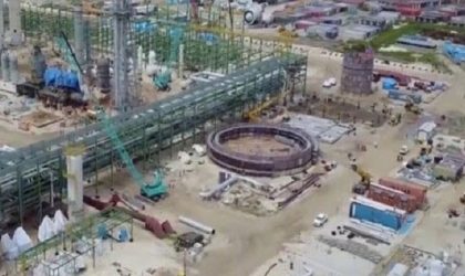 Total investments in Dangote Refinery, Fertiliser plants now $21bn –FG