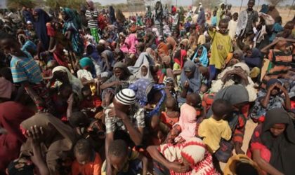 Internally Displaced Persons: About  2.2 million North-East Residents, 452,363 Households Displaced – FG   