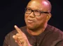 2023 Election: The Peter Obi Phenomenon