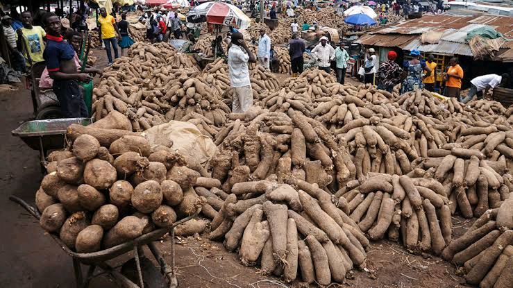 FG Prioritising Rice, Cassava, Yam Says Agric Minister Amidst Food Security