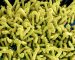 Ghana confirms first cases of deadly Marburg virus Ghana confirms first cases of deadly Marburg virus